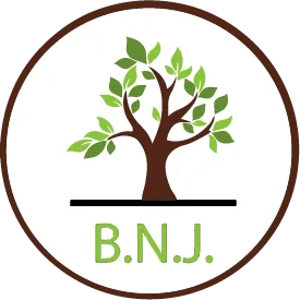 BNJ Health Services logo