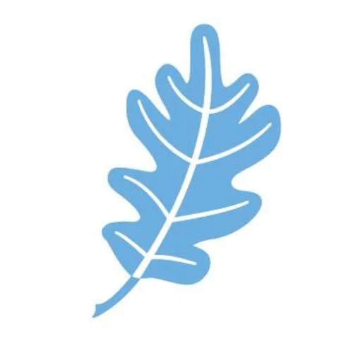 Branches West Sacramento logo