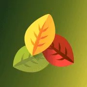 Bridge Healing Center logo