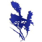 Fair Park Counseling logo