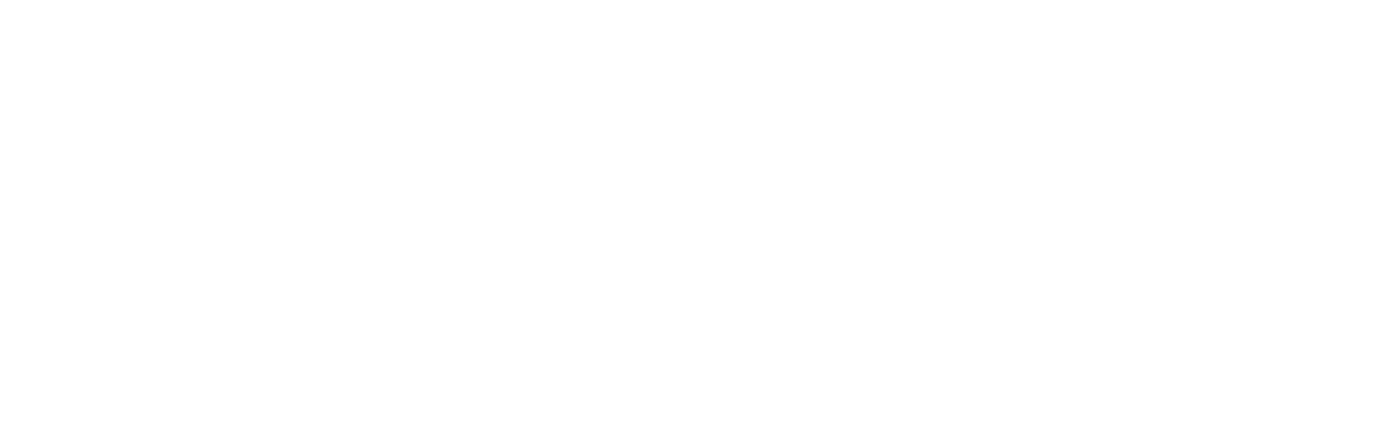 IDEA Forum IDEA Denver logo