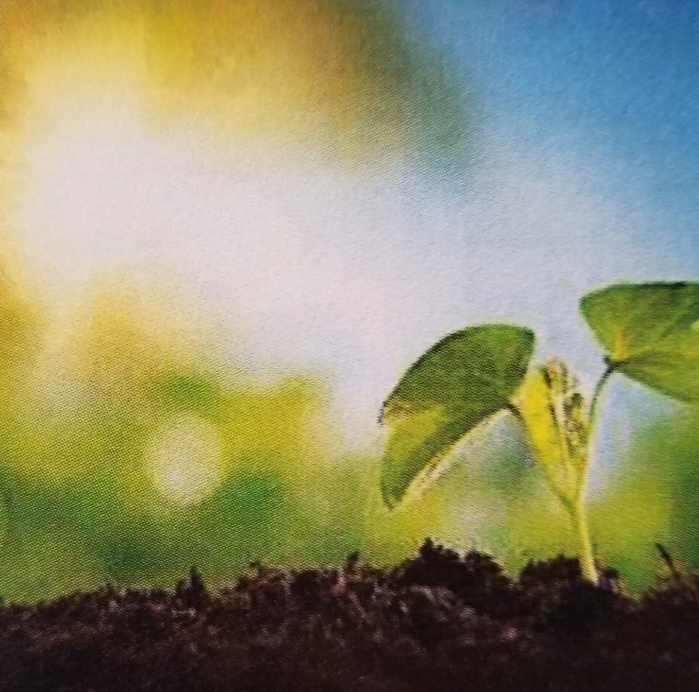 New Beginnings Counseling and Support Services logo