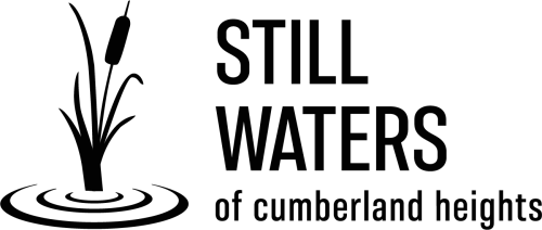 Still Waters for Women logo