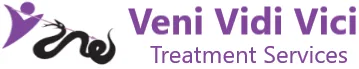Veni Vidi Vici Treatment Services logo